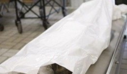 太平间真实爆料视频播放,真实爆料视频背后的惊悚真相