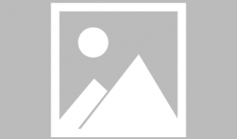 神奇动物2在线观看,格林德沃之罪在线观影指南：揭秘魔法世界的奇幻续集