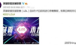 乐宇最新爆料,揭秘娱乐圈惊人内幕