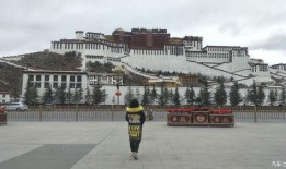 布达拉夫人在线观看,穿越时空的神秘之旅