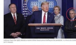 白宫疫情最新爆料,揭秘疫情真相与应对策略”